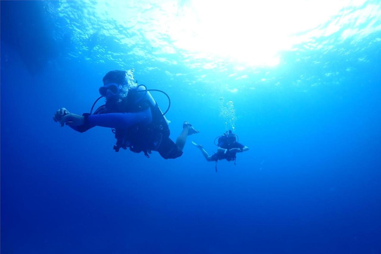 Escape Divers - Jungle Hostel And Dive Centre كو تاو المظهر الخارجي الصورة